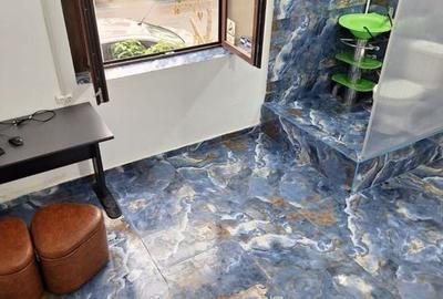 De Vanzare Casa 7 Camere Piata Operei - Plevnei - 1