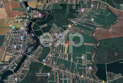 Teren Construcții intravilan de 10000 mp, în Balotești - 3