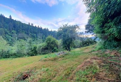 Teren intravilan, 31 ari, Ilva Mica, zona montana - 2
