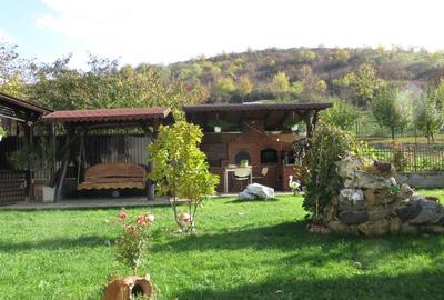 Proprietate Sannicoara, teren 1000 mp! - 6