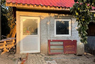 Casă în Mihai Bravu - 8