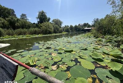 Teren de 8000 mp, în Snagov - 1