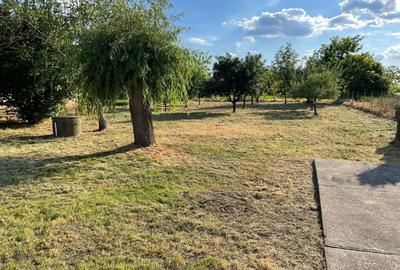 Casă cu 2 camere în Iratoșu - 3