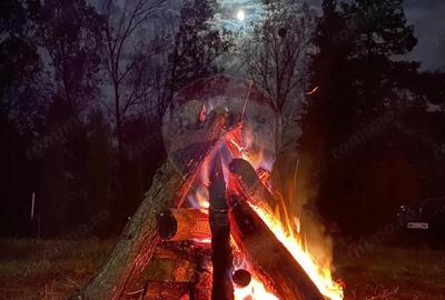 Hotel / Pensiune cu 6 camere de vanzare - 14