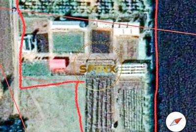 De vanzare ferma Calarasi in stare de conservare - sere - livada - 7