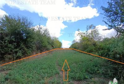 Teren de 1235 mp, în Petrăchioaia - 8