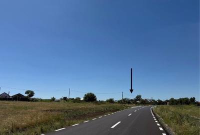 Teren sat Bogdanesti, com. Horlesti - 1