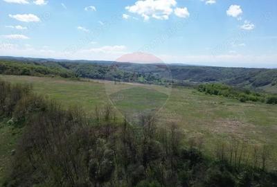 Teren de 659000 mp, în Copșa Mică - 2