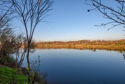 Casă de închiriat – Smart Home pe malul lacului Buftea | 25 min de București - 2