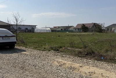 Teren de 1000 mp, în Sântandrei
