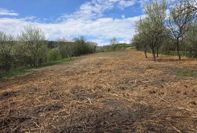 Teren de 6704 mp, în Bârsău - 10