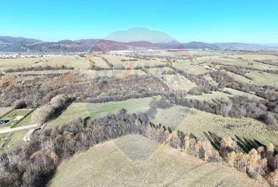 Teren de 650 mp, în Tohănița - 4