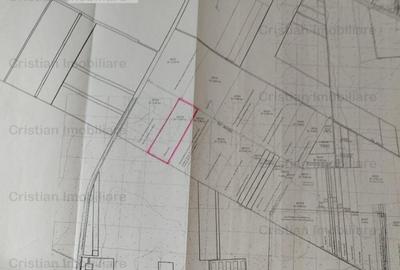 Teren intravilan de constructii Chercea St - 30000 mp cu 50m - 3