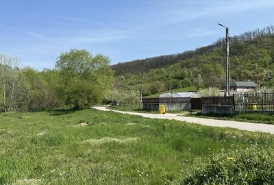 Spațiu comercial, în Leamna de Sus - 3