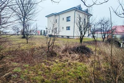 Vila S+P+1+M-318 m2 utili cu 1820 m2 teren situata vis a vis Lidl,Penny,Kaufland - 4