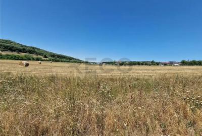Teren de 626 mp, în Betfia - 1