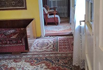 Casă cu Teren 700 Mp în Teiu - 2