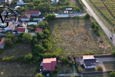 Teren intravilan -2679 mp-Branesti / Islaz - 3