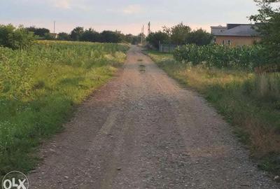 Teren in Ciofliceni, comuna Snagov, pe strada Stefanita Voda. Pret negociabil. - 8