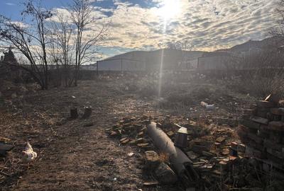 Teren Construcții intravilan de 2600 mp, în Viișoara - 2