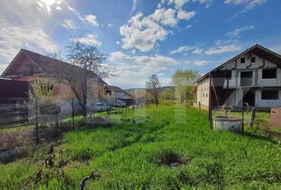 TEREN DE VANZARE ZONA DUMBRAVA - 1