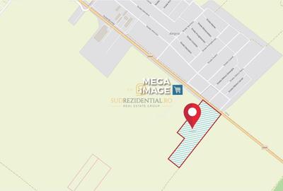 Teren Construcții intravilan de 14748 mp, în Sud - 4