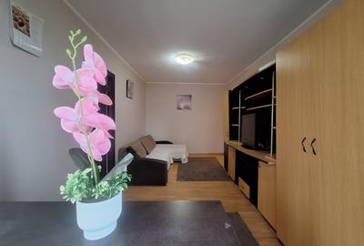 Apartament cu 2 camere semidecomandat, mobilat în Cetății - 2