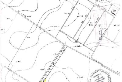 Teren de 1000 mp, în Odăi