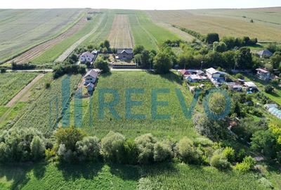 Teren intravilan de vanzare, Sat Bogdan?ti, Com. Traian - 6