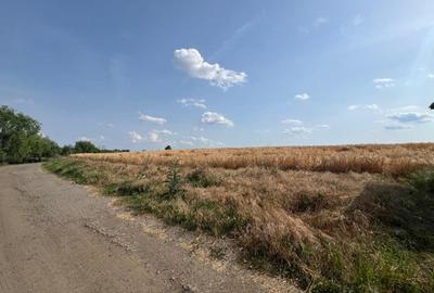 Teren Berceni La Lacuri | Oportunitate Investitie | - 6