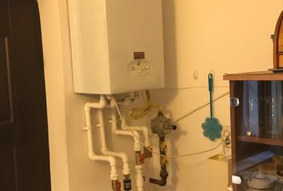 Titan - Hala Laminor - metrou - Apartament 2 camere in vila - curte 37 mp - 2013 - 9