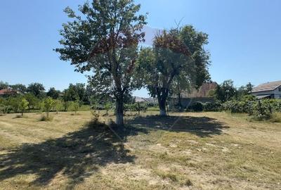 Casa cu teren De Vanzare in Ariesul de Padure - 6