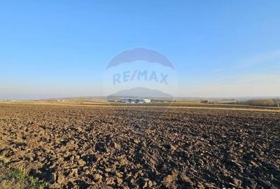 Teren de 6100 mp, în Stroiești - 5