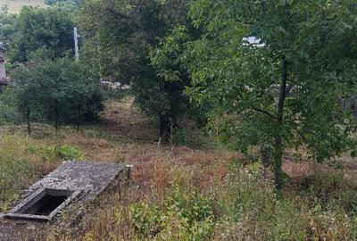 Parava, sat Dragusani, teren 4800mp, la asfalt - 15