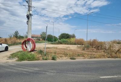 Teren Construcții intravilan de 5000 mp, în Cernica - 10