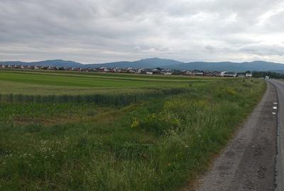 Teren Construcții intravilan de 10000 mp, în Tărlungeni