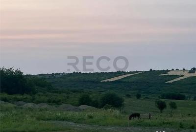 Teren de 903 mp, în Paleu - 8