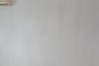 Apartament cu 2 camere nedecomandat în Doamna Ghica - 2