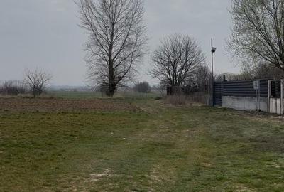 Teren de 5000 mp, în Podari - 2