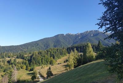 Teren de 7000 mp, în Sohodol - 1