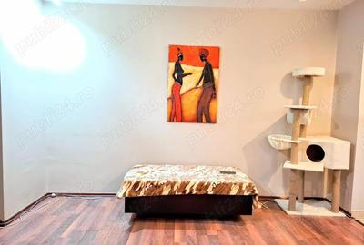 Apartament cu 2 camere semidecomandat în Lipovei - 4