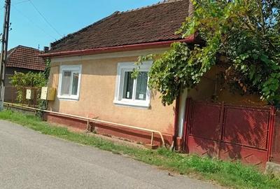 Casă cu 3 camere cu Teren 467 Mp în Călan - 3