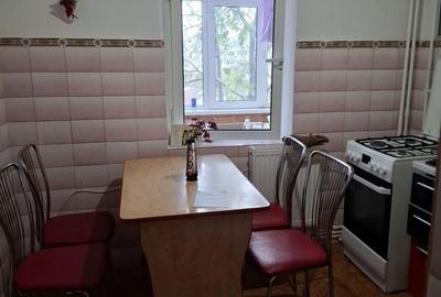 Apartament cu 2 camere decomandat în Lacu - 4
