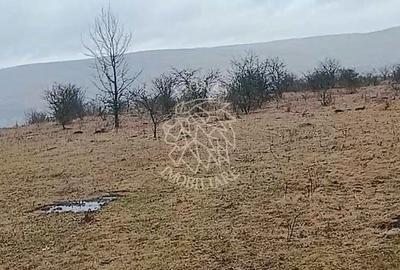 Teren de 10000 mp, în Chinteni