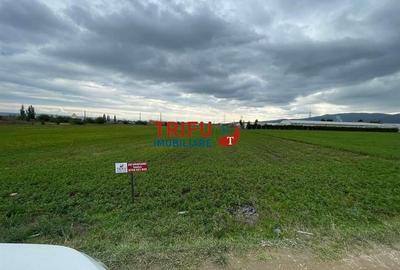 Teren extravilan de vânzare în Bărăbanț - 3