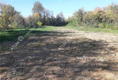 Teren intravilan de vanzare pe Valea Avrigului in suprafata de 1800 mp - 3