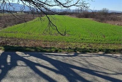 Spațiu comercial, în Țețchea - 2