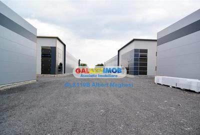 Spatiu Depozitare/Hala Centura-Mogosoaia - 8