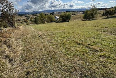 Teren de 1000 mp, în Mărișel - 4