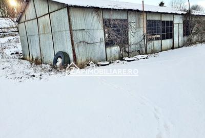 Birouri de 15mp.spatiu 288mp.depozit 280mp.hală 2.000 mp. - 7